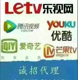 视频代理,高效内容分发背后的秘密