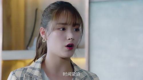 秦总视频,企业成功之道与领导力智慧