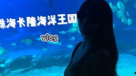 珠海小视频,捕捉城市魅力瞬间