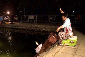 夜钓技巧视频,跟随视频学技巧，轻松捕获夜幕下的鱼儿