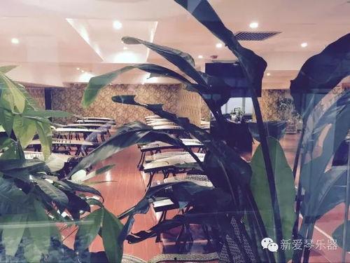 古筝如何换琴弦视频,轻松掌握换弦技巧