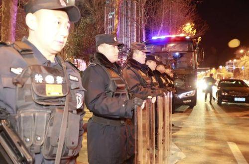 模拟冬季严打视频,重拳出击，守护平安