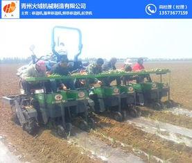 蔬菜移栽机视频,革新农业种植技术